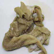 Zabiha Halal Goat Stomach