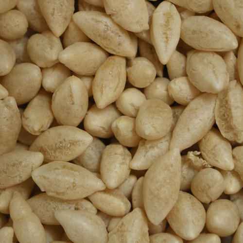 Wheat Mamra