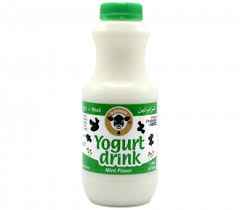 Karoun Mint Yogurt Drink