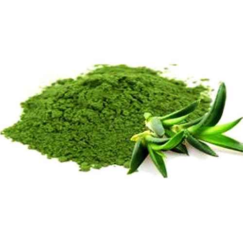 AMRUT ALOVERA POWDER