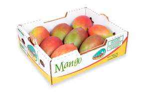 Mangoes Box