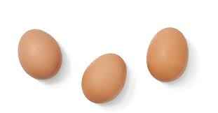 Organic Cage Free Large Brown Eggs