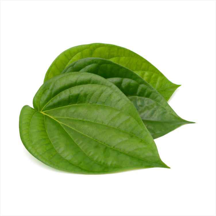 Rangoli   Paan Leaves