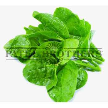 POOI LEAVES