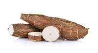 Yuca