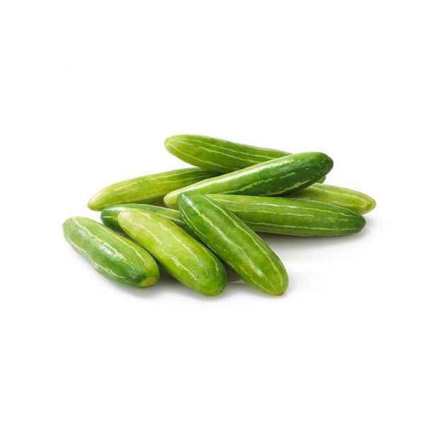 Tindora