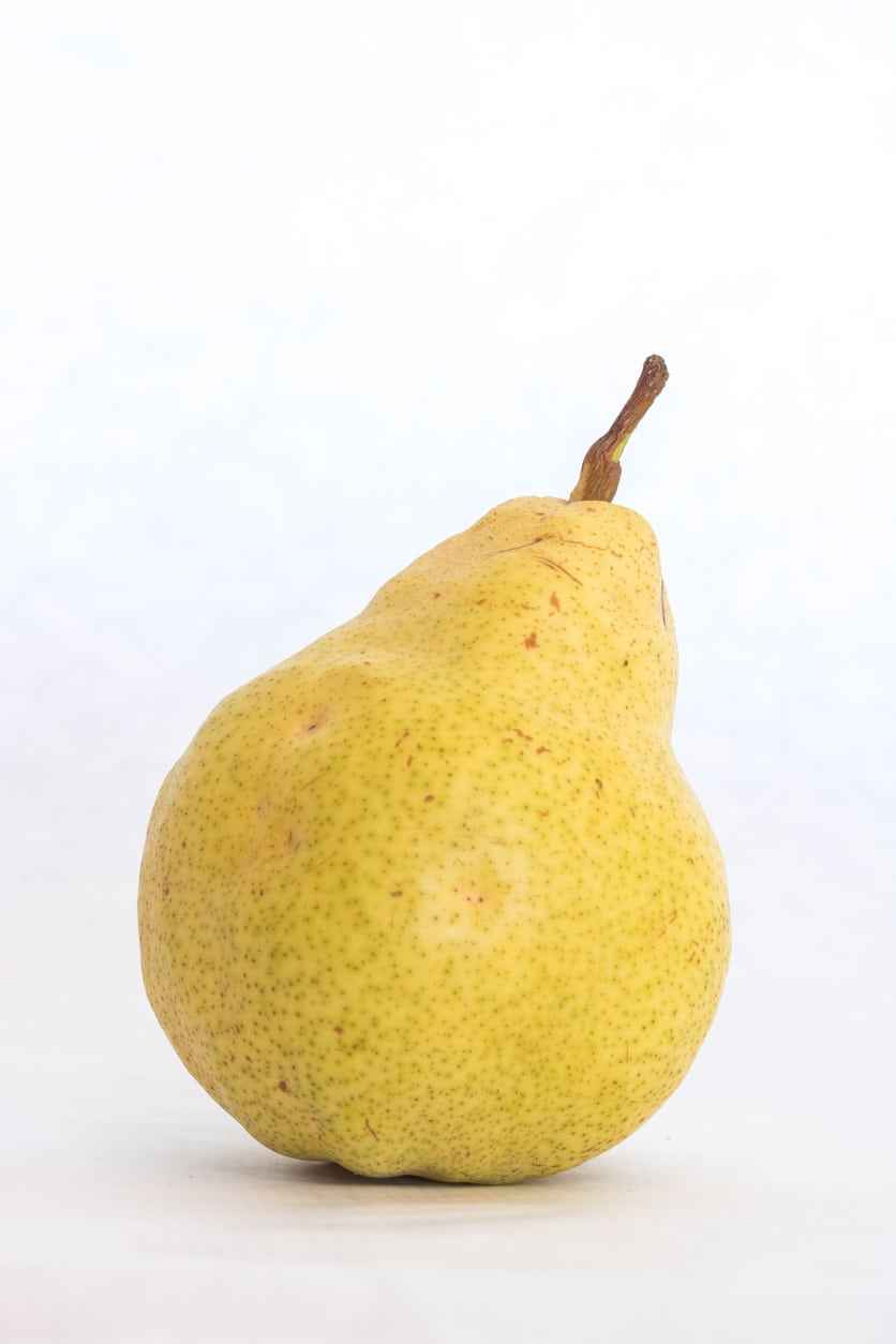 Bartlet Pear