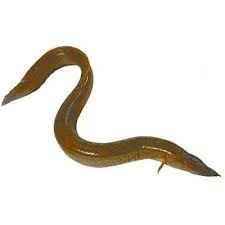 Long Baim