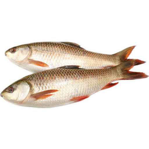 Rohu (Frozen Cut Clean Ready To Cook)