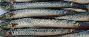 Chiring (Frozen Cut Clean Ready To Cook)