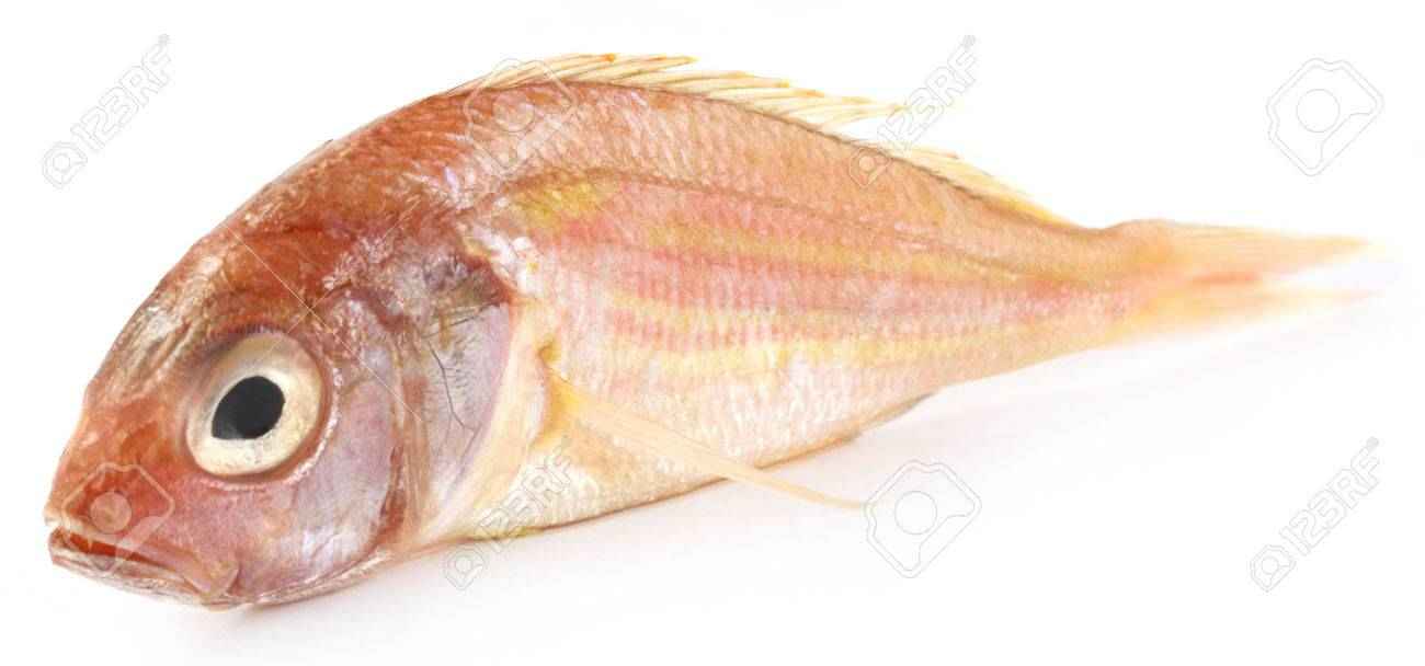 Poa (Frozen Cut Clean Ready To Cook)