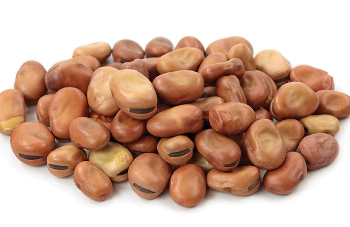 Apna Bazar Fava Beans