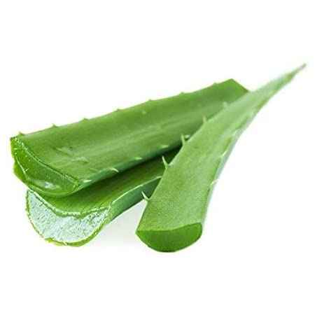 Aloevera  
