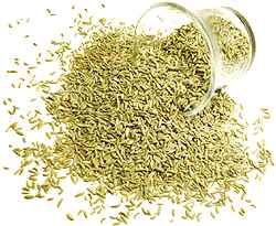 Swad Fennel Seeds Lucknow