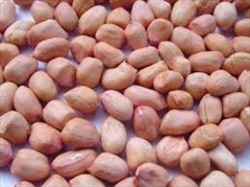 Apna Bazar Peanut Blanched