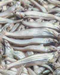 Lotia Mix