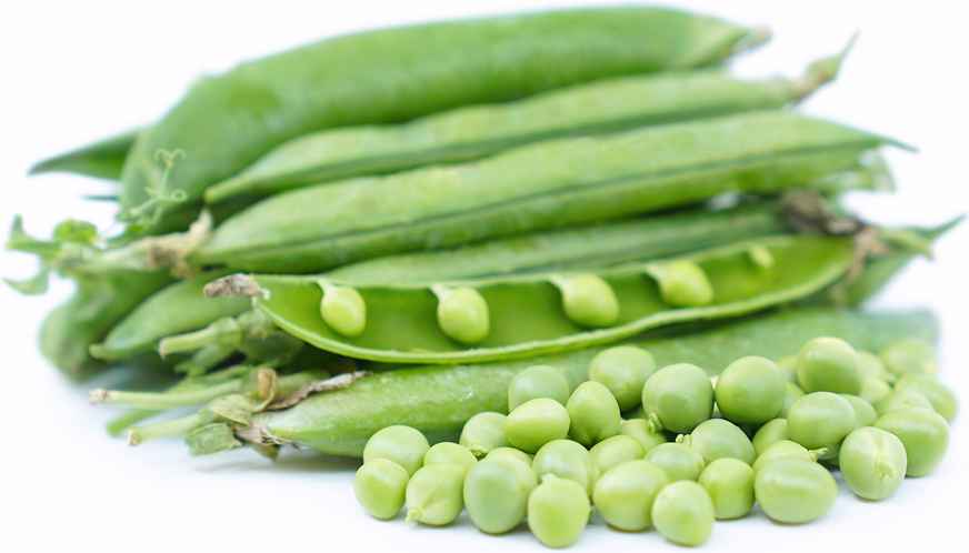 Fresh English Peas