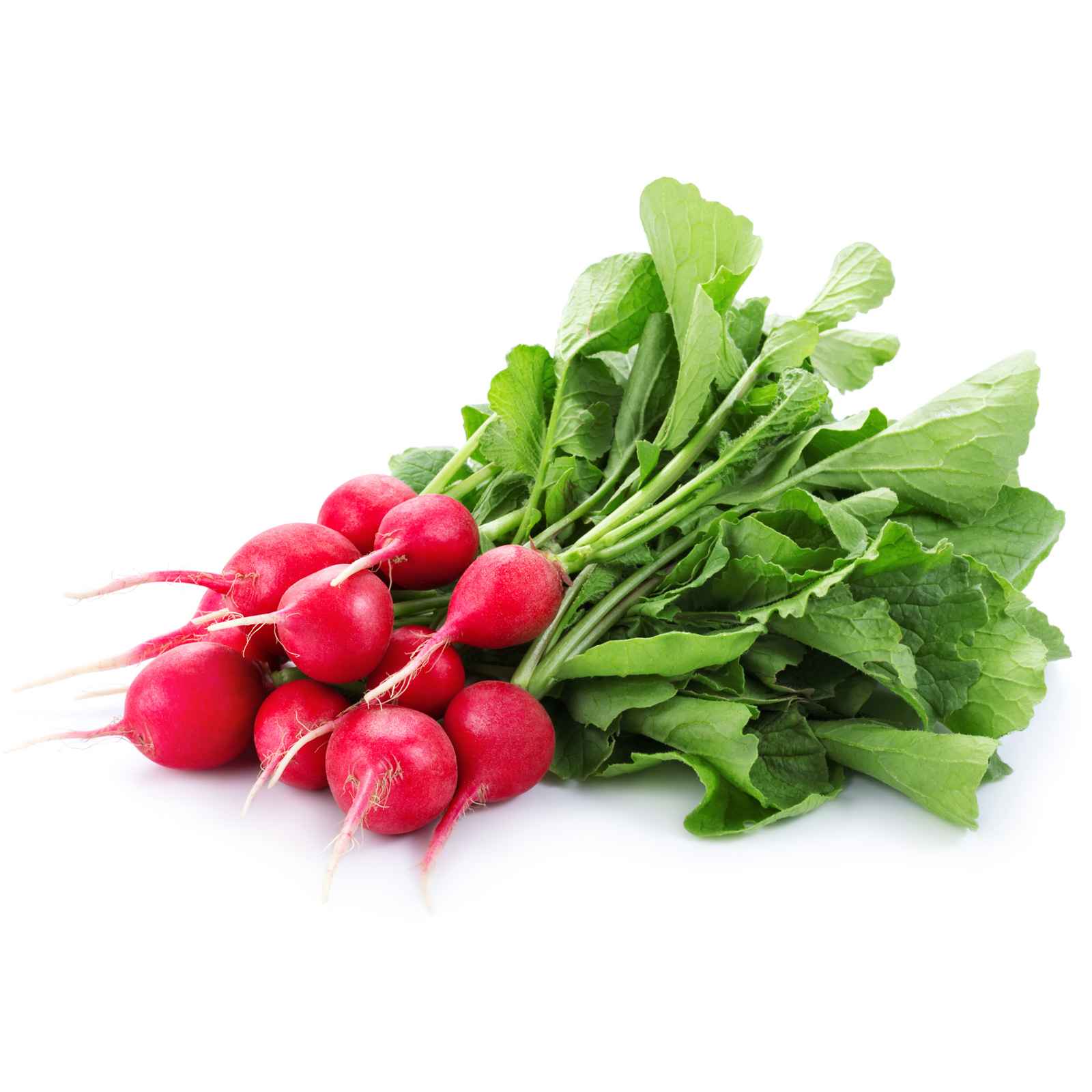 Red Radish Bunches