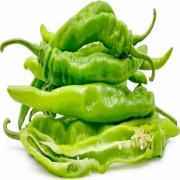 Long Hot Chilli