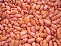 Swad Kidney Bean Light