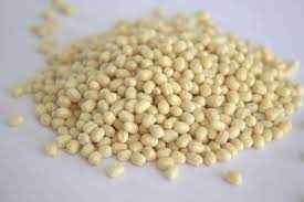 Swad Urad Gota