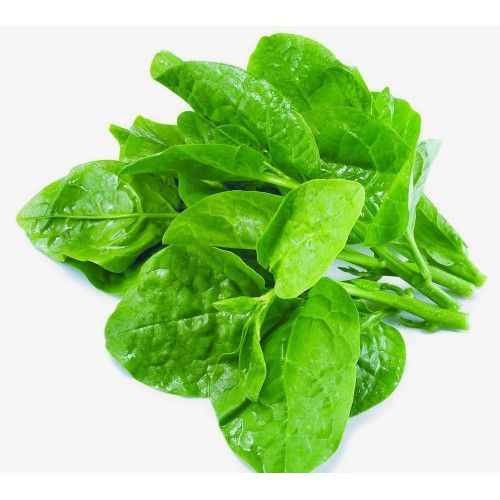 POOI LEAVES