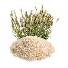 Jiva Organic Isabagol