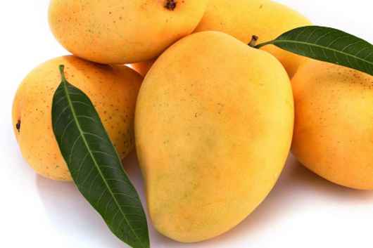 Domenican Mango