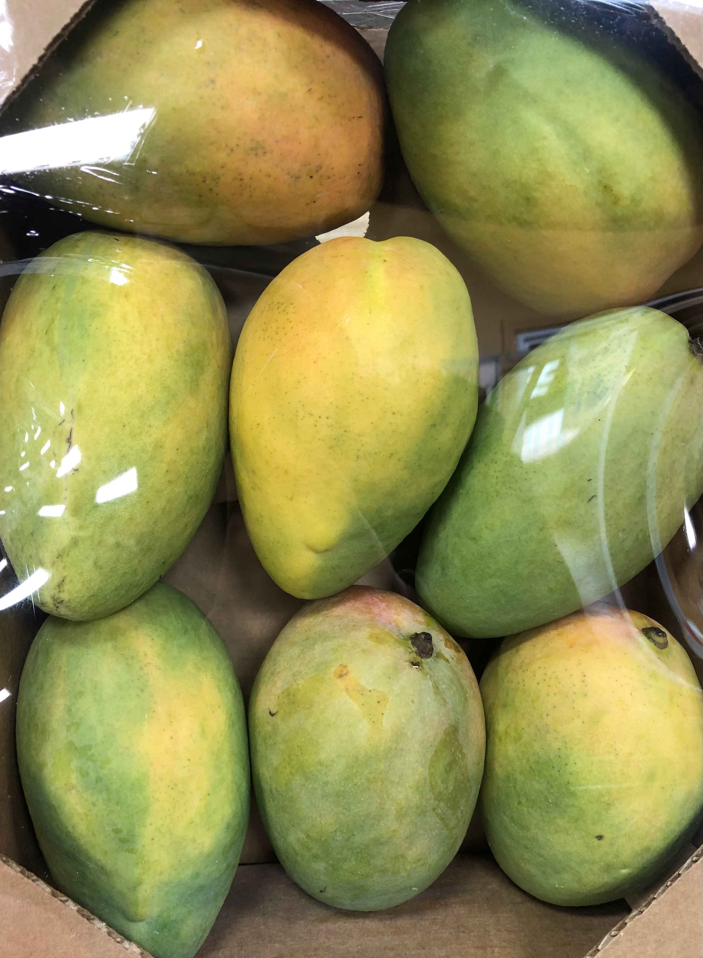 INDIAN KESAR MANGOES ORIGIN DOMINICAN REPUBLIC