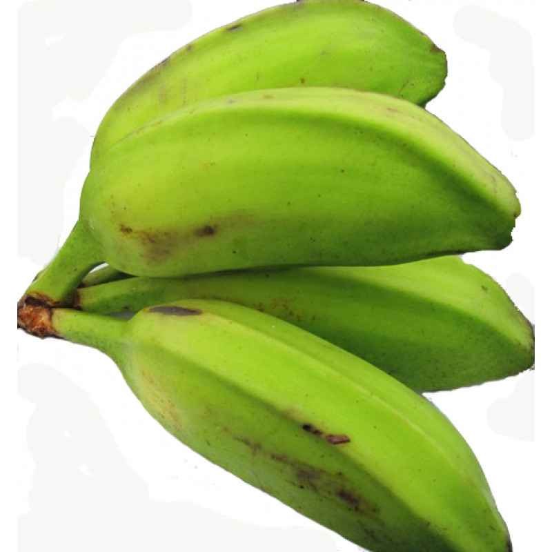 Rolo Banana