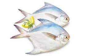 Silver White Pomfret 400gm