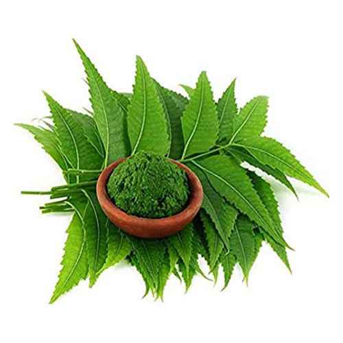 HANS NEEM LEAF