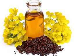 PURE MUSTARD OIL GRAIN MARKET