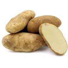 RUSSET IDAHO POTATO