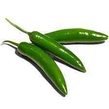 PERSIAN CUCUMBER