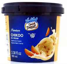 CHIKOO ICE CREAM CUP VADILAL