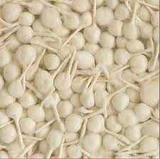 COTTON WICK ROUND GRAIN MARKET