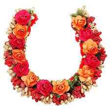 PLASTIC FLOWER VENI(COLOR)