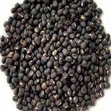 URAD WHOLE BLACK INDIA BAZAAR