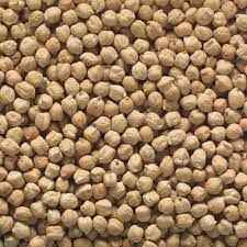 MOSAMBI CHANA GRAIN MARKET