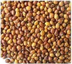 TOOR WHOLE GRAIN MARKET