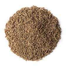 CUMIN SEED INDIA BAZAAR