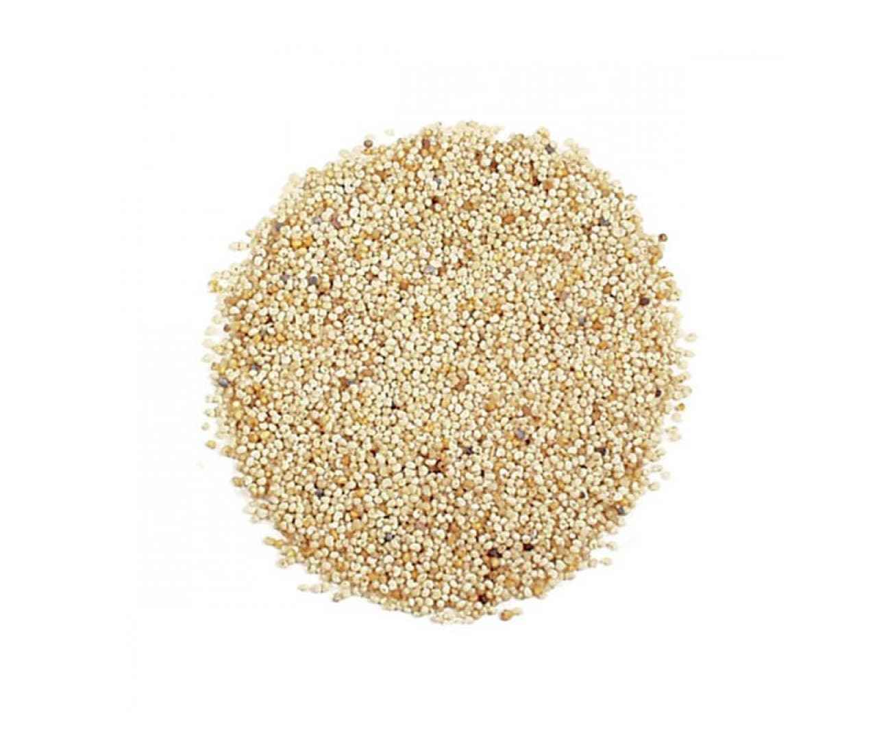 POPPY SEEDS GRAIN MARKET