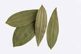 BAY LEAVES INDIA BAZAAR