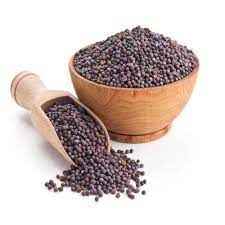 MUSTARD SEED BIG INDIA BAZAAR