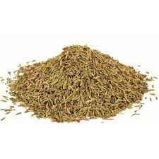 CUMIN SEED GRAIN MARKET