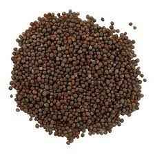 MUSTARD SEED BIG INDIA BAZAAR
