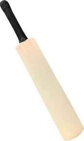 CRICKET BAT CHAMPION KW6000