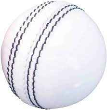 WHITE CRICKET SEASON BALL