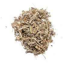 SAGE WHOLE SPICY WORLD